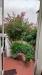 Casa indipendente in vendita con giardino a Roccastrada - 04, Foto 4
