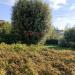 Casa indipendente in vendita con giardino a Roccastrada - 05, Foto 5