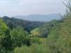 Terreno Agricolo in vendita a Pontedera - treggiaia - 02
