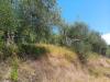 Terreno Agricolo in vendita a Pontedera - treggiaia - 05