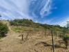 Terreno Agricolo in vendita a Terricciola - soiana - 06