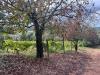 Attivit� commerciale in vendita a Montopoli in Val d'Arno - 03