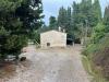 Attivit� commerciale in vendita a Montopoli in Val d'Arno - 04