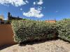 Appartamento in vendita con giardino a Roma in via pietro romani 170 - 09, Foto 9