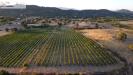 Terreno Agricolo in vendita a Dorgali - 04, Foto 4