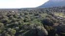 Terreno Agricolo in vendita a Dorgali - 02, Foto 2