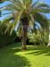 Villa in vendita a Forte dei Marmi - 05, Foto 5