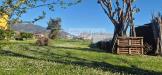 Terreno Agricolo in vendita a Forte dei Marmi - 04, Foto 4