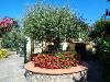 Villa in vendita con giardino a Montignoso - 10, Foto 10