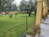 Villa in vendita con giardino a Torricella - 02, IMG_20260401_100817.jpg
