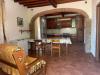 Casa indipendente in affitto con giardino a Montopoli in Val d'Arno - 02, Foto 2