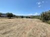 Terreno Agricolo in vendita a Controguerra in contrada san biagio - 02, Foto 2