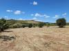 Terreno Agricolo in vendita a Controguerra in contrada san biagio - 05, Foto 5