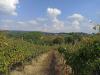 Terreno Agricolo in vendita a Taurasi - 02