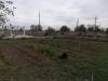 Terreno Agricolo in vendita a Taranto - 03