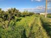 Terreno Agricolo in vendita a Sellia Marina - 09