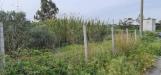 Terreno Agricolo in vendita a Crotone - 05