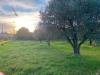 Terreno Agricolo in vendita a Simeri Crichi - 06