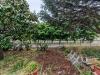Casa indipendente in vendita con giardino a Lamezia Terme - 08