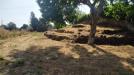 Terreno Agricolo in vendita a Acireale - 03