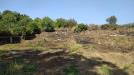 Terreno Agricolo in vendita a Acireale - 06