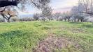 Terreno Agricolo in vendita a Lamezia Terme - 04