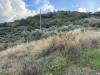 Terreno Agricolo in vendita a Agropoli - 02