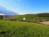 Terreno Agricolo in vendita a Mogliano - 05