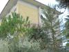 Casa indipendente in vendita con giardino a Mogliano in c/da poggio - 05, Foto 5
