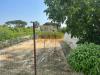 Terreno Agricolo in vendita a Pisa - riglione oratoio - 06