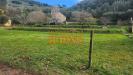 Terreno Agricolo in vendita a Vicopisano - san giovanni alla vena - 02