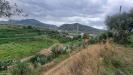 Terreno Agricolo in vendita a Santa Lucia del Mela - 04, WhatsApp Image 2023-12-20 at 12.07.04 (2).jpeg