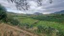 Terreno Agricolo in vendita a Santa Lucia del Mela - 05, WhatsApp Image 2023-12-20 at 12.07.04.jpeg