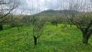 Terreno Agricolo in vendita a Pace del Mela - 05, 20250218_105942.jpg