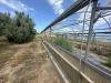 Terreno Agricolo in vendita a Milazzo - 04, 003__whatsapp_image_2025-09-26_at_17_29_02__6.jpg