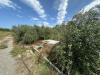 Terreno Agricolo in vendita a Milazzo - 06, 005__whatsapp_image_2025-09-26_at_17_29_02__2.jpg