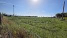 Terreno Agricolo in vendita a Barcellona Pozzo di Gotto - 06, 999__20260511_165825.jpg