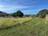 Terreno Agricolo in vendita a Saponara - 10, 009__whatsapp_image_2025-11-13_at_15_36_34__7.jpg