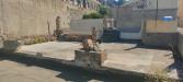 Appartamento in vendita da ristrutturare a Reggio Calabria in via eremo botte - 03, IMG20260527093259