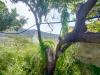 Appartamento in vendita da ristrutturare a Melito di Porto Salvo in via monsignor italo calabr� 23 - 03, IMG20260919093630