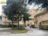 Appartamento bilocale in vendita con terrazzo a Loano - 02