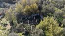 Terreno Edificabile in vendita a Pietra Ligure in reg. castellari - 04, Foto 4