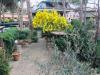 Casa indipendente in vendita con giardino a Grosseto in via della gorgona - 02