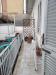 Appartamento in vendita con terrazzo a Santa Croce sull'Arno - 05