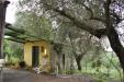 Casa indipendente in vendita con giardino a Larciano - 07