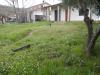 Villa in vendita con giardino a Vecchiano - avane - 04