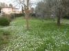 Villa in vendita con giardino a Vecchiano - avane - 06