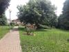 Appartamento in vendita a Vinovo - 03, WhatsApp Image 2025-06-10 at 10.04.06 (1).jpeg