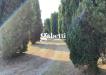 Terreno Agricolo in vendita a Bagnoli di Sopra - 08, 6.png