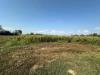Terreno Agricolo in vendita a Osio Sotto - 02, Foto 2
